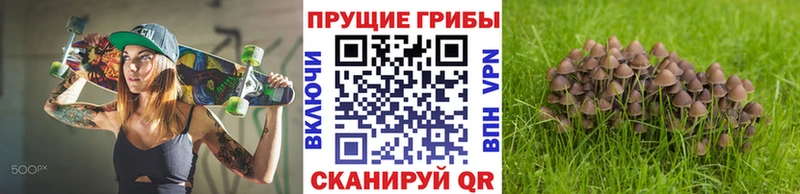 Псилоцибиновые грибы ЛСД  Сурск 
